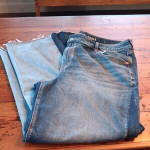 American Eagle 2 Tone Flare Jeans